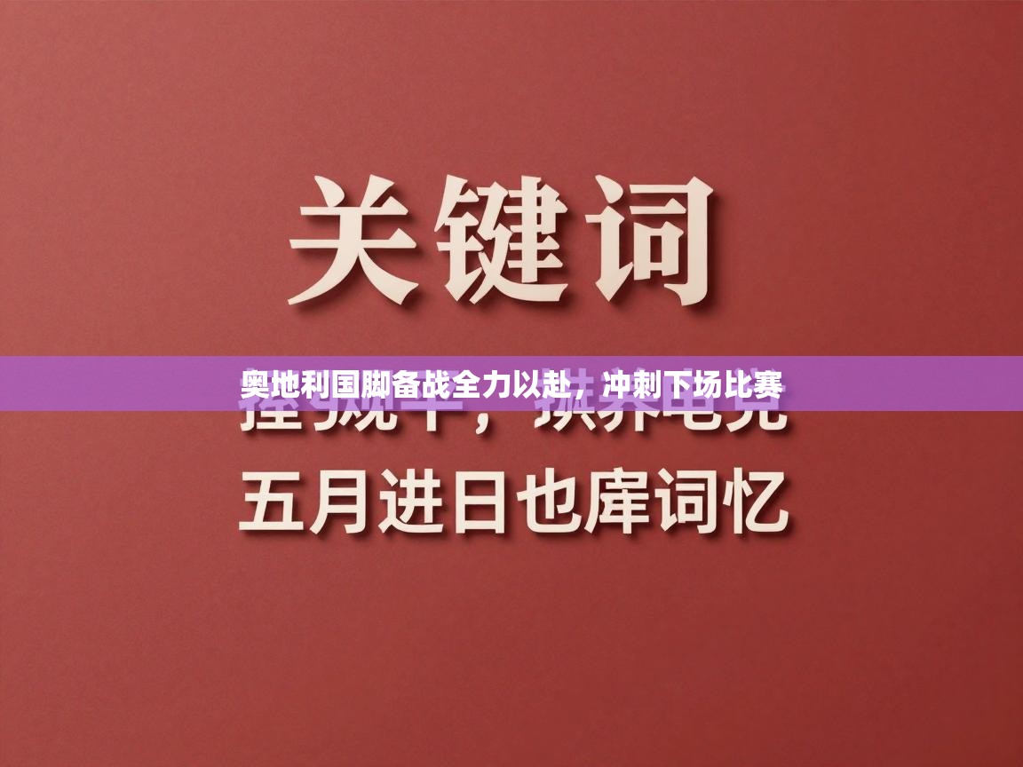 奥地利国脚备战全力以赴，冲刺下场比赛  第1张