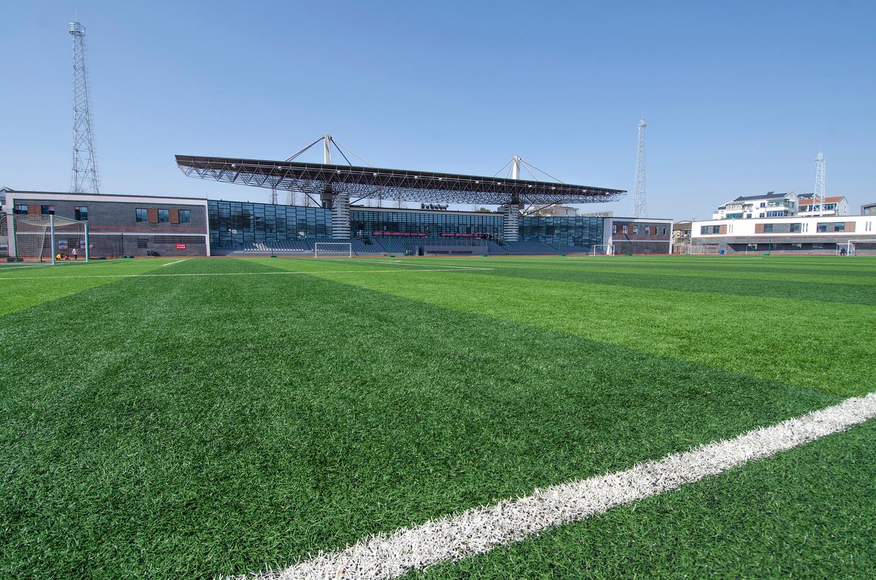 尼斯队主场胜算晋级，士气大振的简单介绍