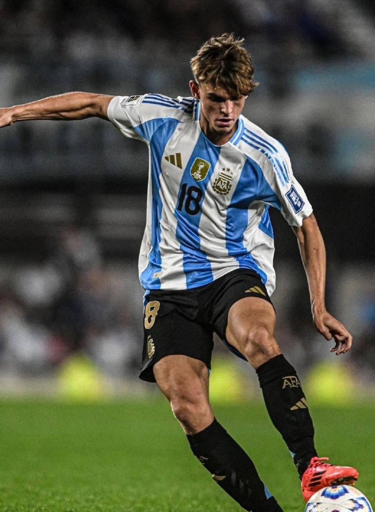 包含阿根廷传奇球星入主意大利球队，重掌麾下的词条