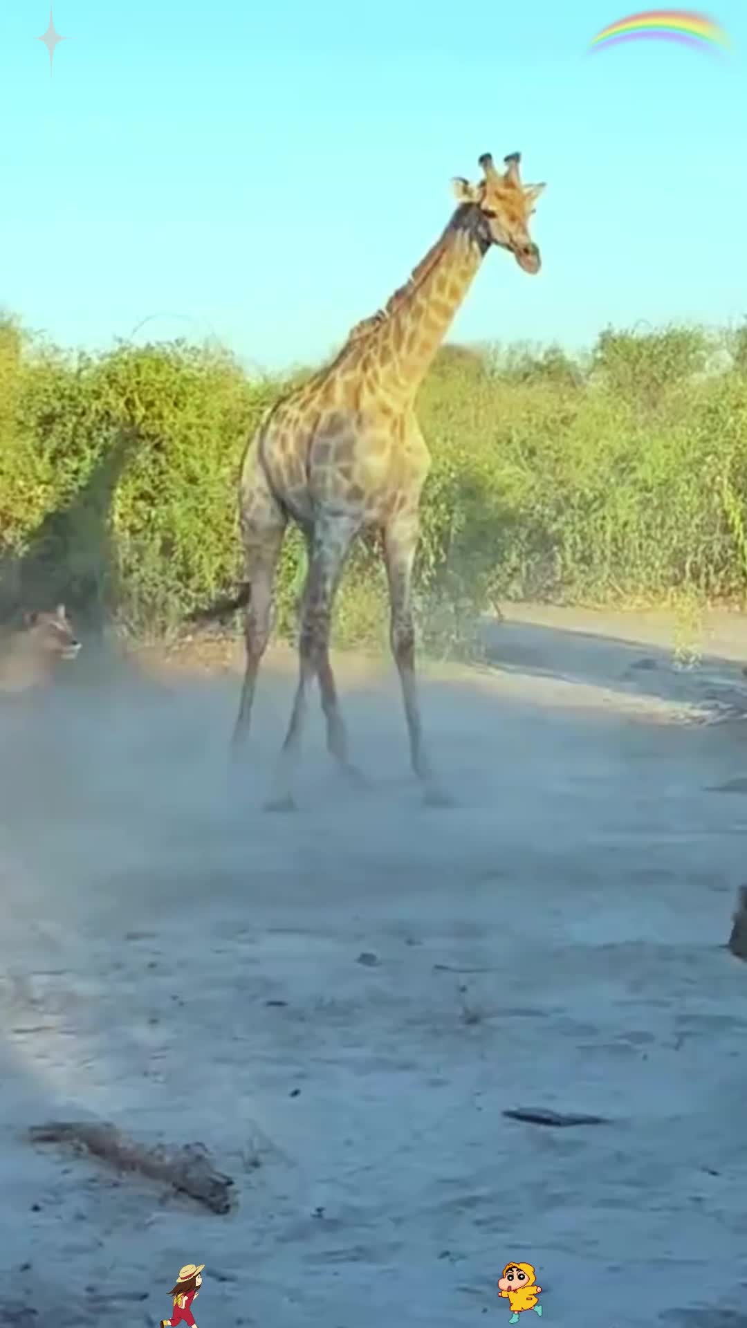 关于雄鹿大胜对手,将对手净胜分拉开差距的信息 关于雄鹿大胜对手,将对手净胜分拉开差距的信息